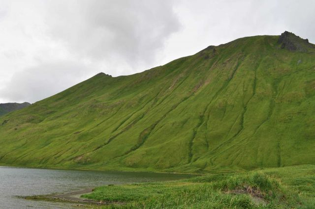 The green green hills of the Unalaska Island. Picture