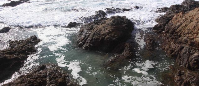 Rocky meeting of land and sea at Point Lobos State Reserve. Picture