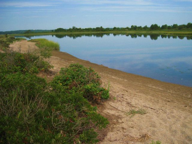 A lagoon and wetlands behind the gravel and shell spit at Bluff Point State Park Picture