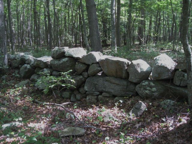 Colonial era stone fences are seen throughout the peninsula at Bluff Point State Park. Picture