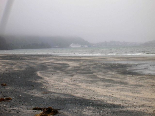 A cruise ship in Kodiak Harbor seen on a gray foggy day. Picture