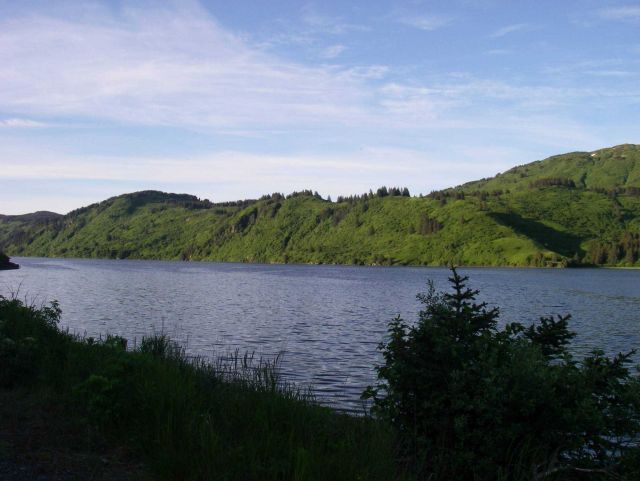 A view of Anton Larsen Bay. Picture
