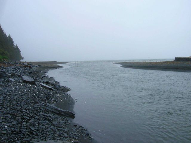 A river debouching in the sea. Picture