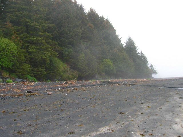 A black volcanic sand beach. Picture