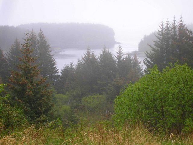A fog shrouded bay and inlet seen from the mountains above. Picture