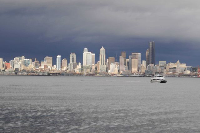 The Seattle Skyline south of the Space Needle Picture