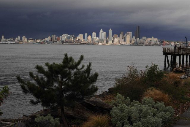 The Seattle Skyline south of the Space Needle Picture
