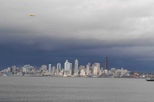 The Seattle Skyline south of the Space Needle Picture