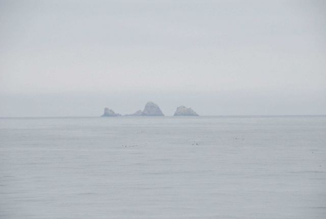 Northern Farallon Islands. Picture