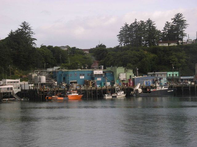 Trident Seafoods dock at Newport. Picture