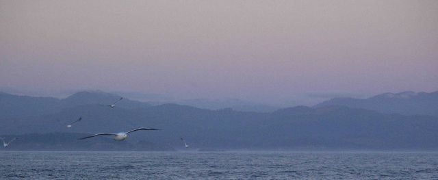 A scene along the Oregon or Washington coast. Picture