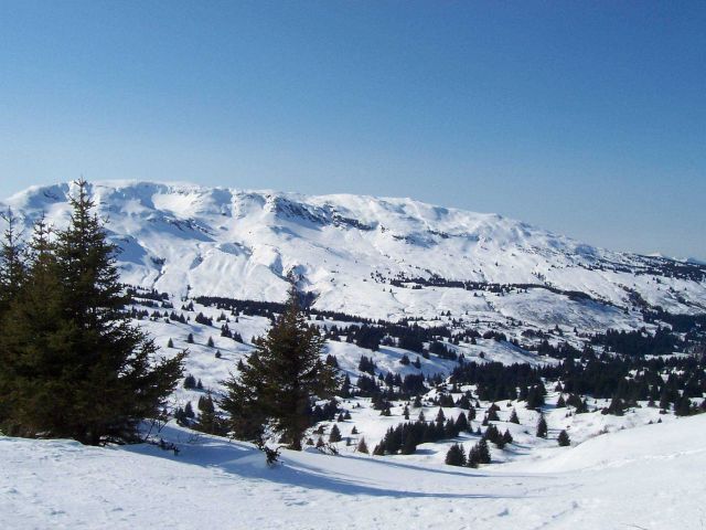Snow-clad ridge above Kodiak. Picture