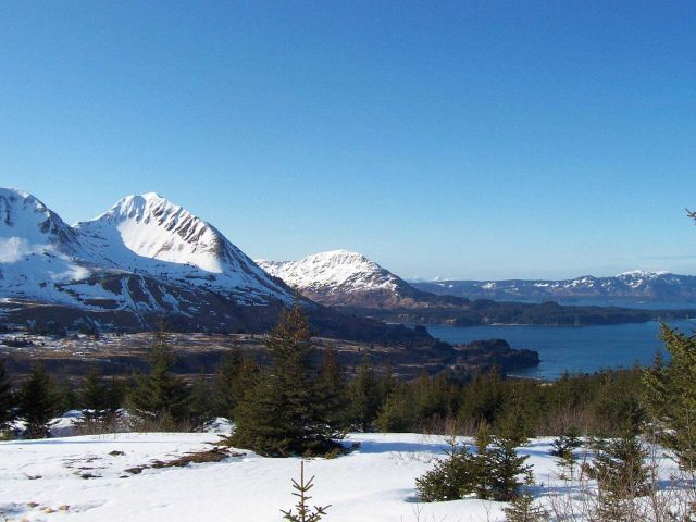 Bays, mountains, and evergreens of Kodiak Island. Picture