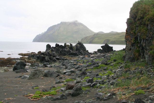 Two eagles perched on the rocks of a Dutch Harbor beach at half-tide. Picture
