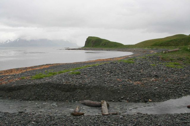 A small stream has cut its way to the sea through the beach berm at a Dutch Harbor beach. Picture