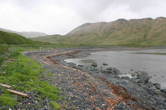 Kelp, boulders, and logs high up above the waterline indicate violent storms on other days. Picture