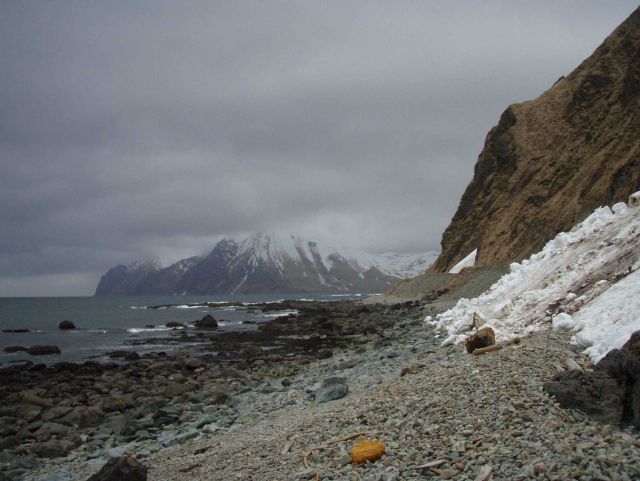Doesn't look like much sun-bathing is done on this beach! Cobbles, boulders, and snow coming to the base of mountain cliffs along this Aleutian beach. Picture