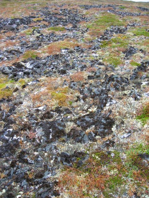 Frost heaved rock fragments on the high lands of St Picture
