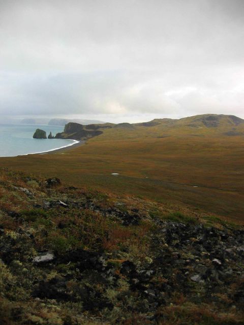 The coast of St Picture