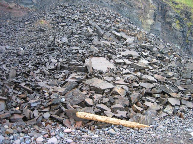 A scree slope of angular blocks of rock. Picture