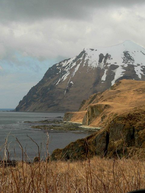 Exploring the Dutch Harbor shoreline. Picture