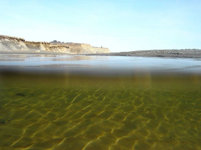 A rippled pond on Fossil Beach. Picture