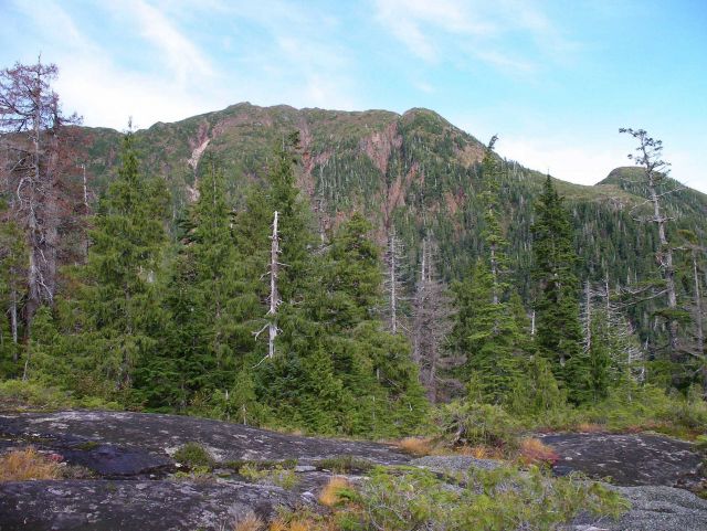 A scene along the John Mountain Trail in the Ketchikan area. Picture