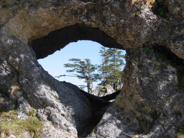 Looking out from a Sea cave in the Cape Decision area. Picture