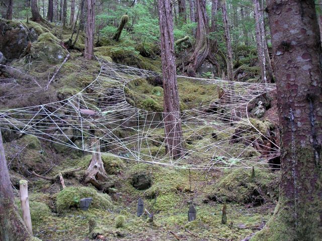 Petersburg area. Picture