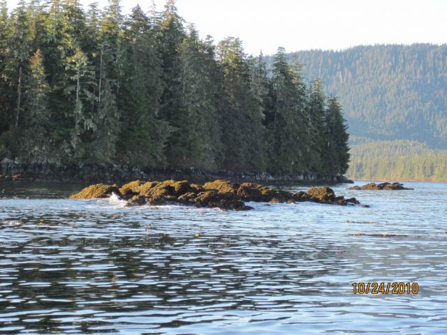 Chatham Bay area. Picture