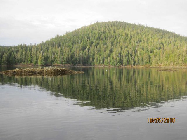 Chatham Bay area. Picture