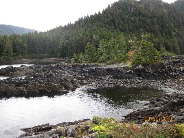 Chatham Bay area. Picture