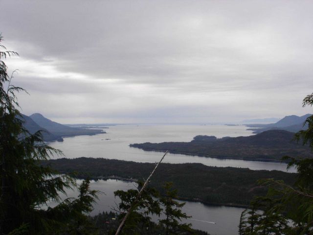 A view of the labyrinthine waterways in the Sitka area. Picture