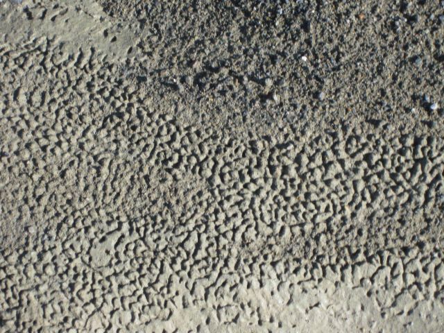 Maybe little ice structures in a sandy area of beach cobbles. Picture
