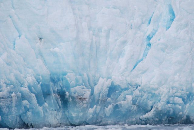 Aialik Glacier terminus prior to calving. Picture