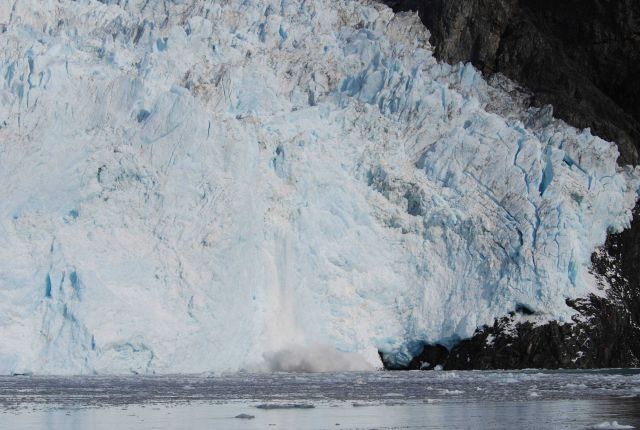 Calving at glacier terminus. Picture