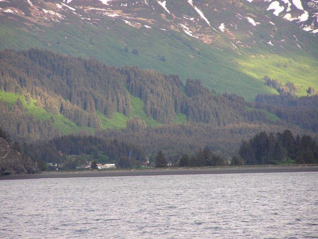 A view at Homer. Picture