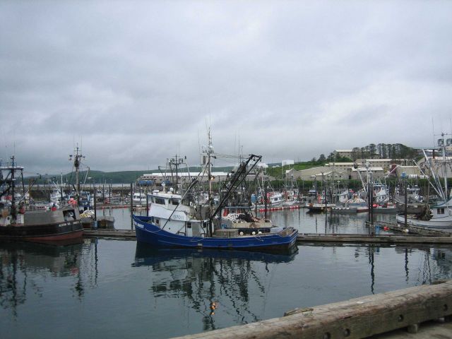 The harbor at Sand Point, Shumagin Islands. Picture