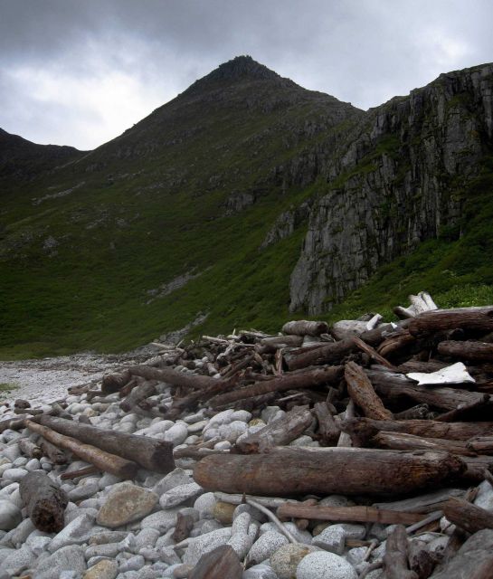 Logs and flotsam carried far up a boulder beach from storms of past winters Picture