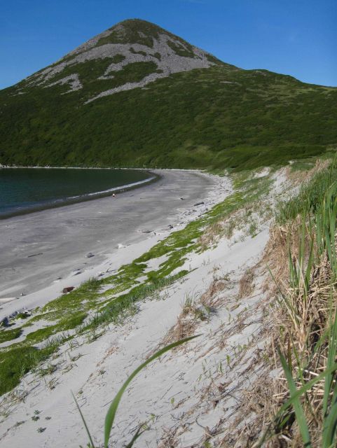 A nice sand beach with dunes behind on a Shumagin Island beach. Picture