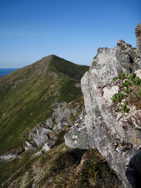 Black, orange, and white lichens cover a rock outcrop on a Shumagin Island ridge. Picture