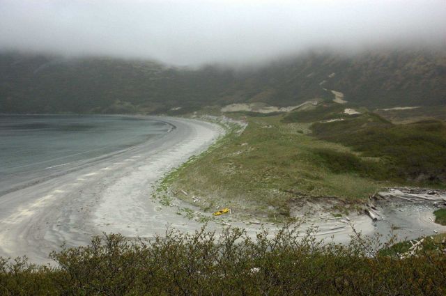 Sand beach and dune line on a Shumagin island. Picture
