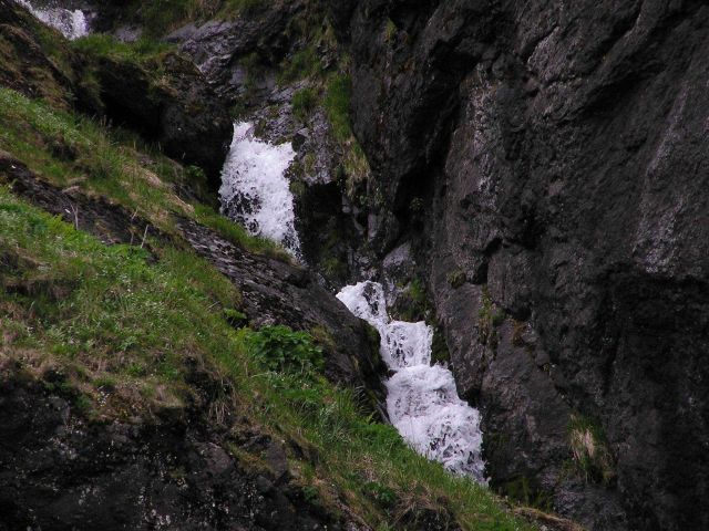 One can almost hear the babbling of this brook as it heads down a Little Koniuji Island slope to the sea. Picture