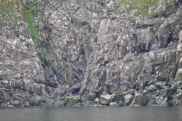 Rocks - Alaska, Little Diomede Island Picture