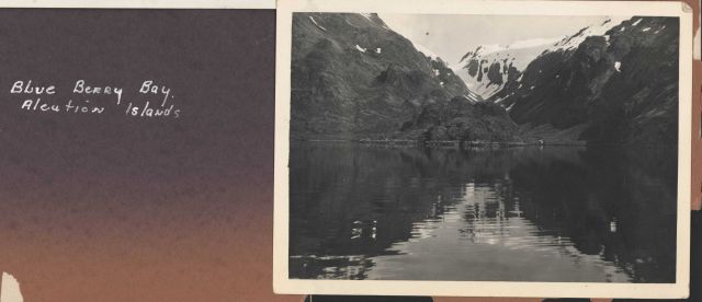 A view of Blueberry Bay on the south coast of Unalaska Island. Picture