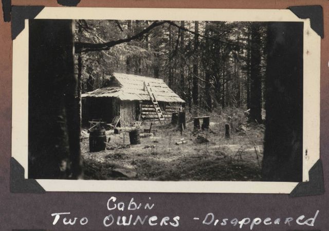 A cabin in the forest - the two owners had disappeared. Picture