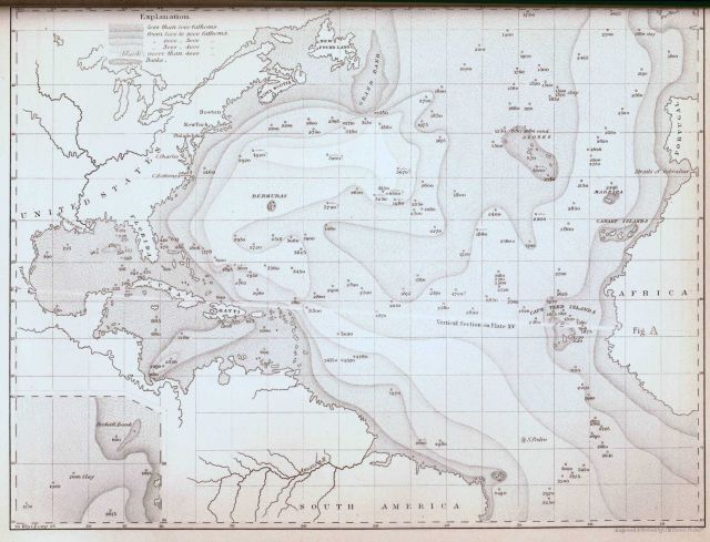 Second map of an oceanic basin Picture