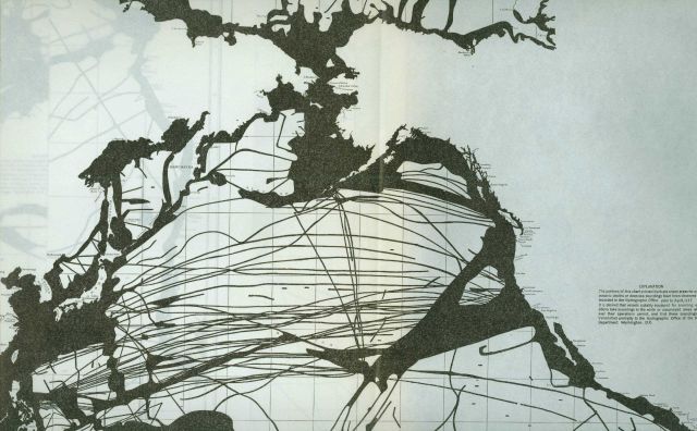 Distribution of surveyed areas and survey lines in the North Pacific Ocean. Picture