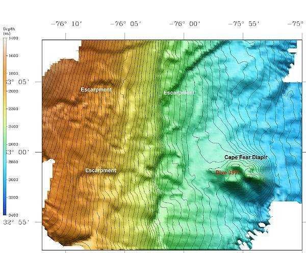3-D view of the continental slope and Cape Fear Diapir on the continental slope off North Carolina Picture
