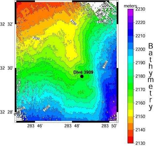 Bathymetric map of Blake Ridge Diapir Picture